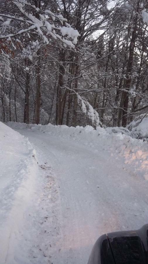 Chalet Lagorai Roncegno Zewnętrze zdjęcie
